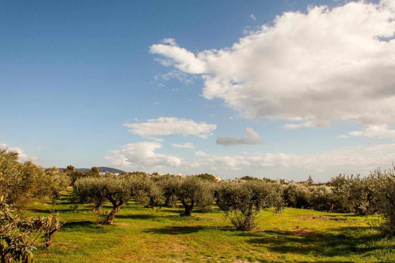 Konstantinos Villa Koutsouras ภายนอก รูปภาพ