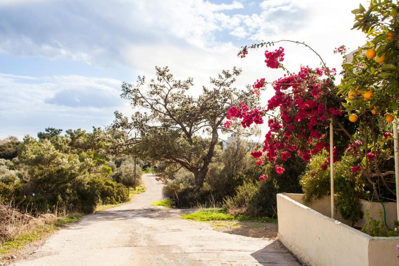 Konstantinos Villa Koutsouras ภายนอก รูปภาพ