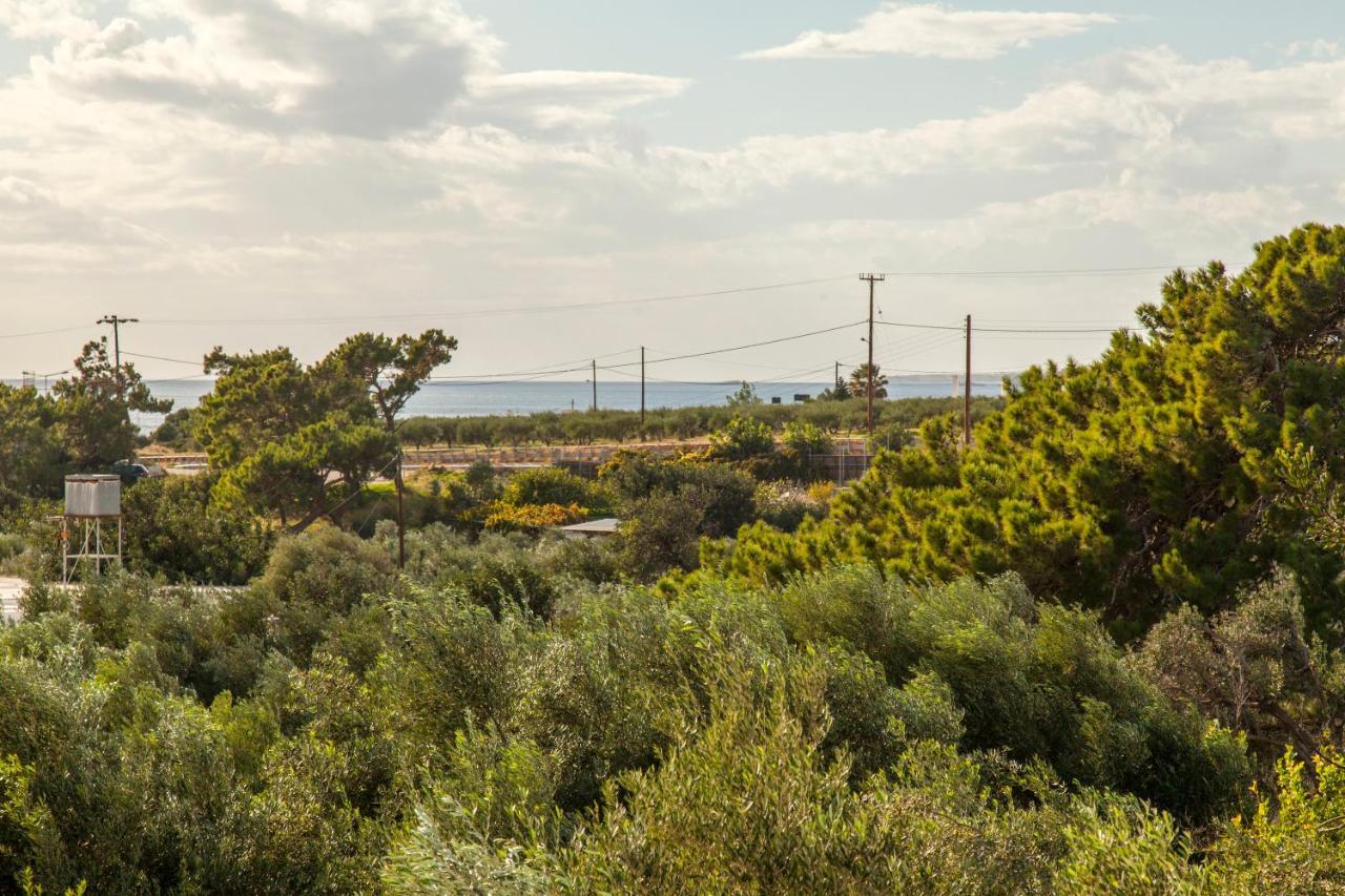 Konstantinos Villa Koutsouras ภายนอก รูปภาพ
